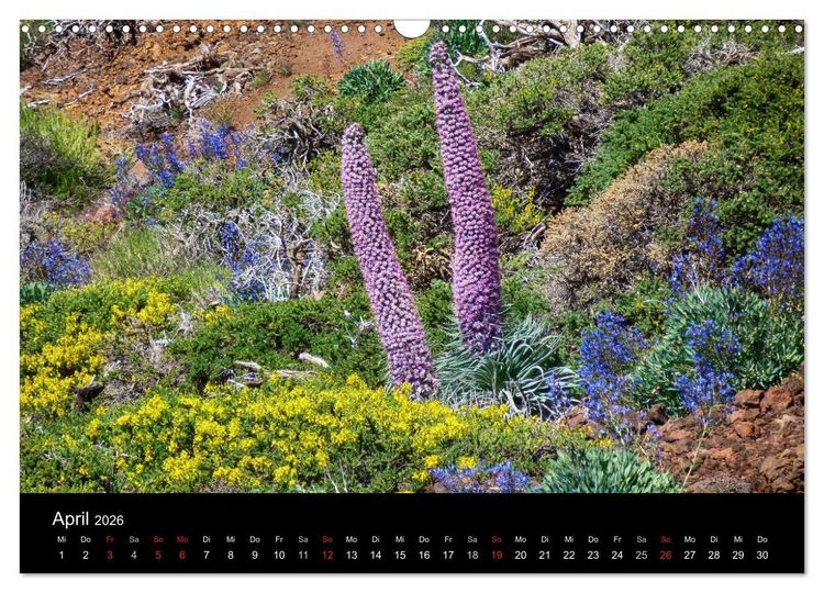 Produktbild: Naturblicke - La Palma (Wandkalender 2026 DIN A3 quer), CALVENDO Monatskalender