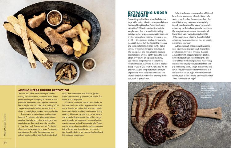 Produktbild: Christopher Hobbs's Medicinal Mushrooms: The Essential Guide