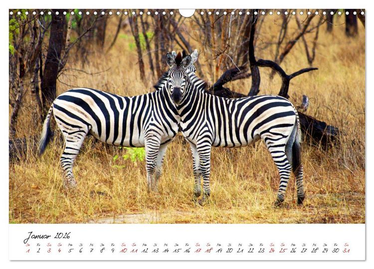 Produktbild: Namibia - Magie der Weite (Wandkalender 2026 DIN A3 quer), CALVENDO Monatskalender