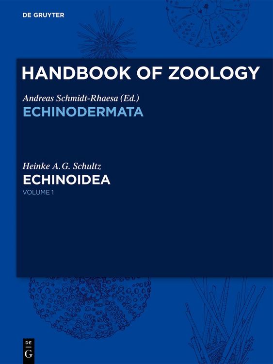 Produktbild: Echinoidea