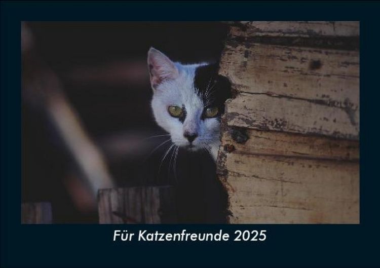 Produktbild: F&uuml;r Katzenfreunde 2025 Fotokalender DIN A5