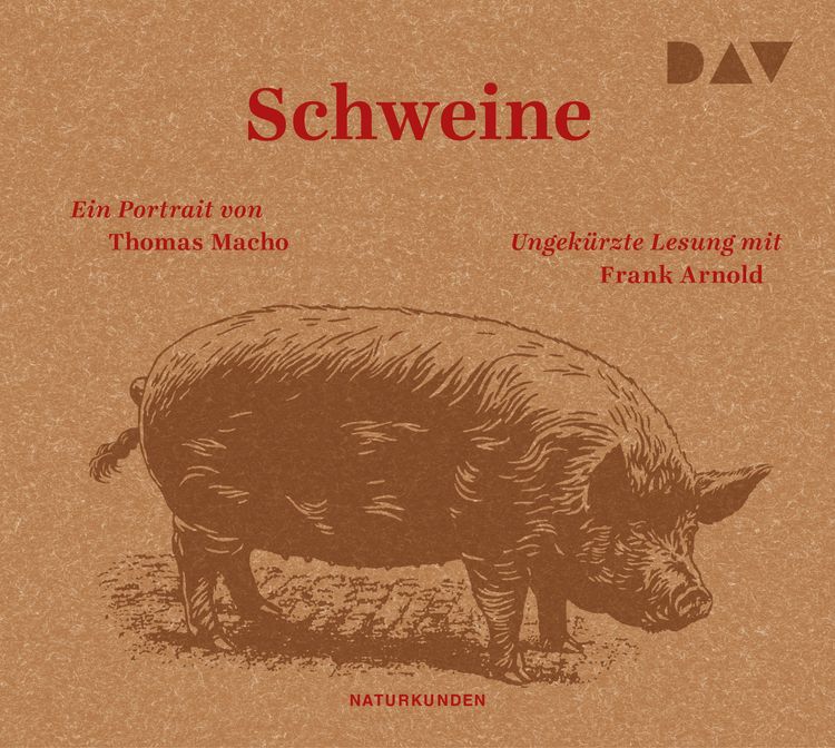 Produktbild: Schweine. Ein Portrait