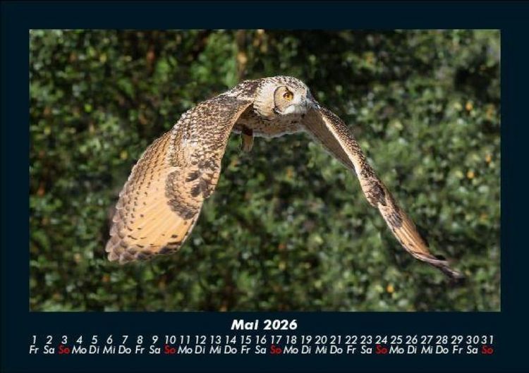 Produktbild: Vogelparadies 2026 Fotokalender DIN A5