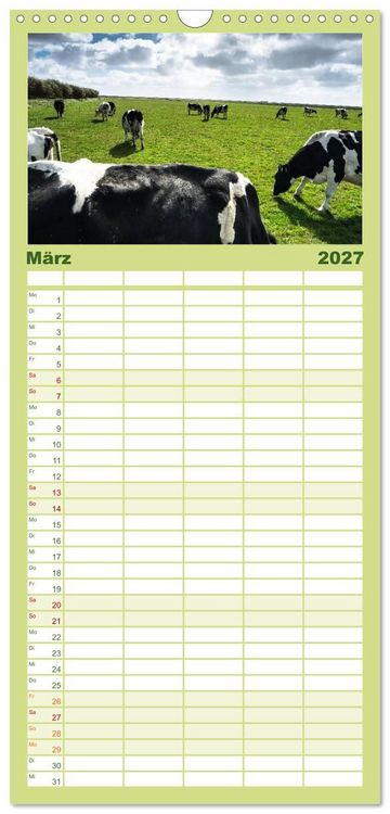 Produktbild: Familienplaner 2027 - Ameland Wundersch&ouml;ne Insel mit 5 Spalten (Wandkalender, 21 x 45 cm) CALVENDO
