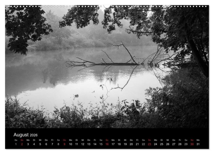 Produktbild: B&auml;ume trees 2026 (Wandkalender 2026 DIN A2 quer), CALVENDO Monatskalender