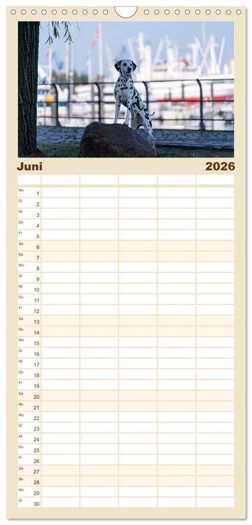 Produktbild: Familienplaner 2026 - Hunde in der City - Unterwegs in Hamburg mit 5 Spalten (Wandkalender, 21 x 45 cm) CALVENDO