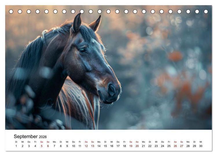 Produktbild: Wilde M&auml;hnen: Ein Jahr mit Pferden (Tischkalender 2026 DIN A5 quer), CALVENDO Monatskalender