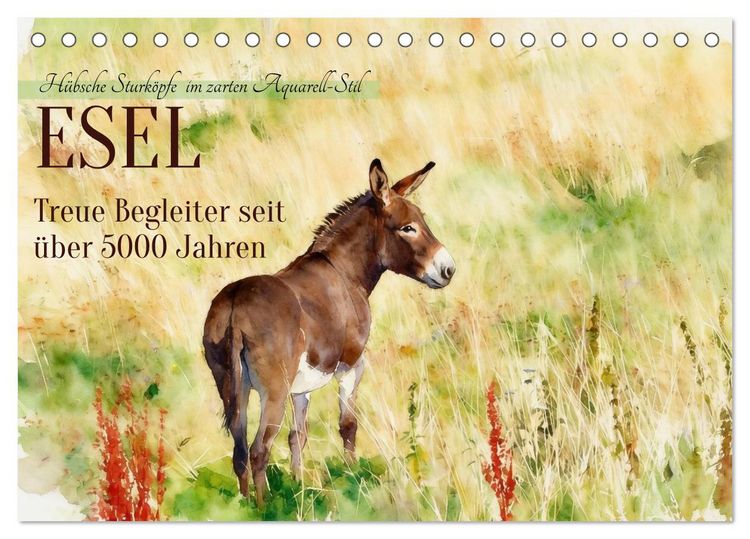 Produktbild: Esel - Treue Begleiter seit &uuml;ber 5000 Jahren (Tischkalender 2027 DIN A5 quer), CALVENDO Monatskalender