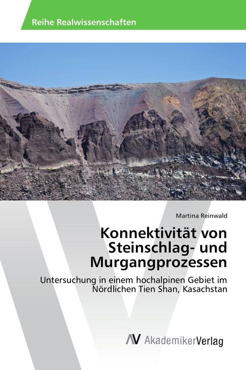 Produktbild: Konnektivit&auml;t von Steinschlag- und Murgangprozessen