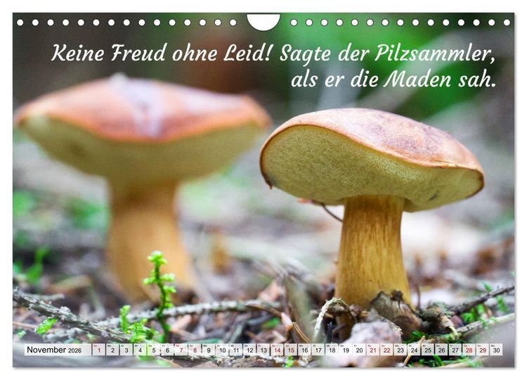 Produktbild: Junge, was hast du`s eilig (Wandkalender 2026 DIN A4 quer), CALVENDO Monatskalender