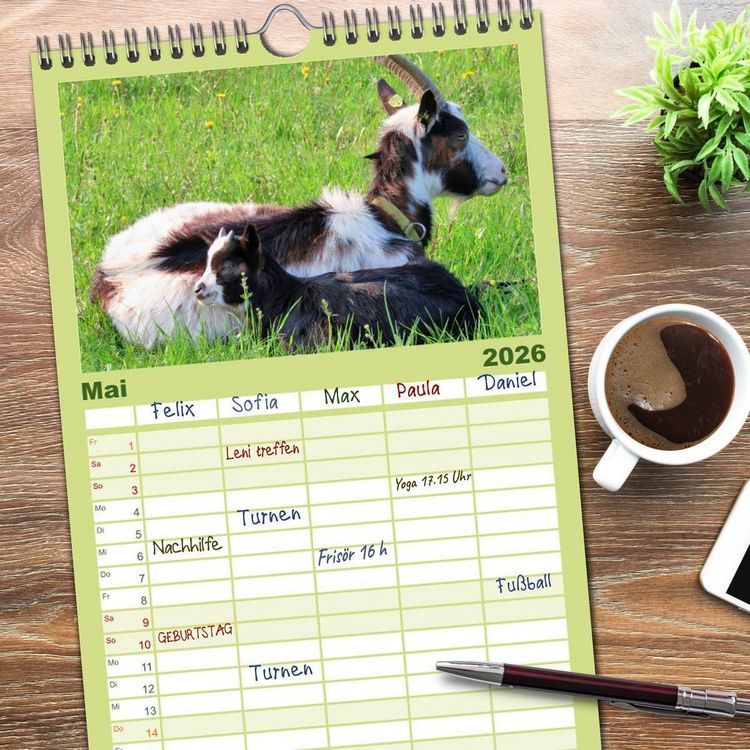 Produktbild: Familienplaner 2026 - Wer zickt denn da? Mit Ziegen durchs Jahr mit 5 Spalten (Wandkalender, 21 x 45 cm) CALVENDO