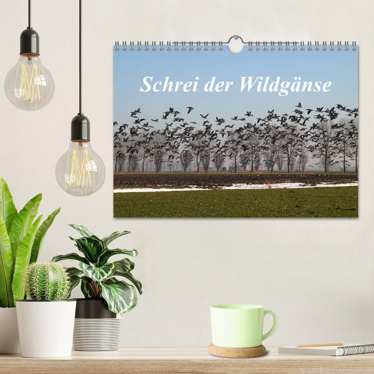 Produktbild: Schrei der Wildg&auml;nse (Wandkalender 2026 DIN A4 quer), CALVENDO Monatskalender