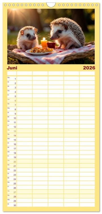 Produktbild: Familienplaner 2026 - Stachelstars mit 5 Spalten (Wandkalender, 21 x 45 cm) CALVENDO