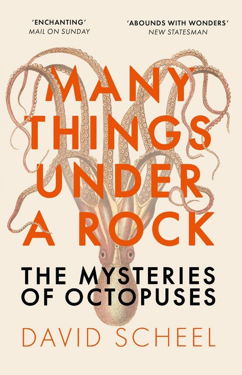 Produktbild: Many Things Under a Rock