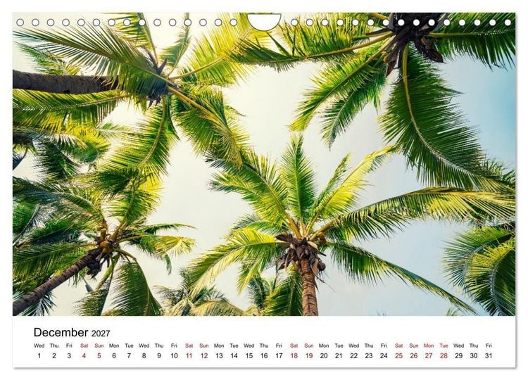 Produktbild: Tropical Vibes (Wall Calendar 2027 DIN A4 landscape), CALVENDO 12 Month Wall Calendar