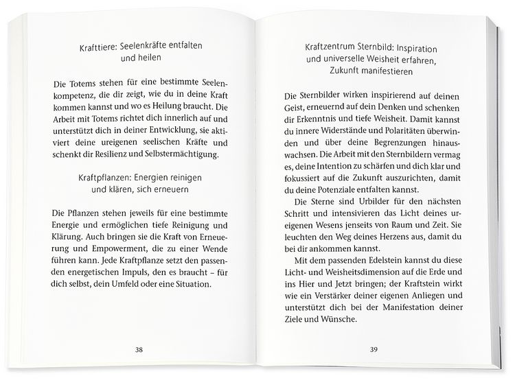 Produktbild: Das heilende Orakel der Rauhn&auml;chte