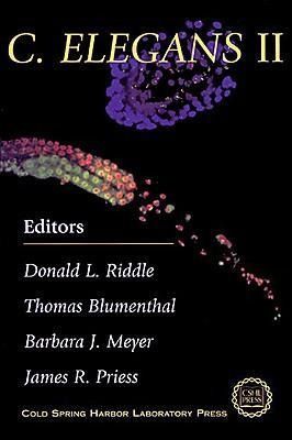 Produktbild: C. Elegans II