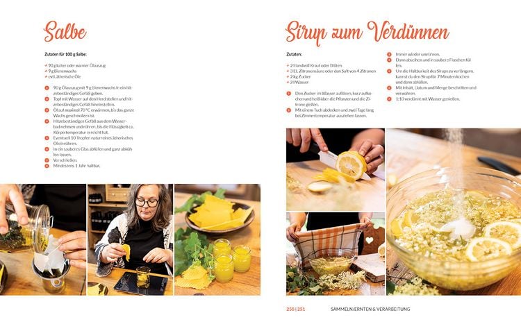 Produktbild: Heilkr&auml;uter aus den Alpen