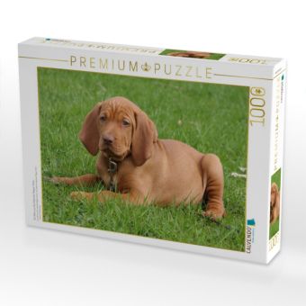 Produktbild: CALVENDO Puzzle Ein Motiv aus dem Kalender Magyar Vizsla | 1000 Teile Lege-Gr&ouml;&szlig;e 64x48cm Foto-Puzzle f&uuml;r gl&uuml;ckliche Stunden