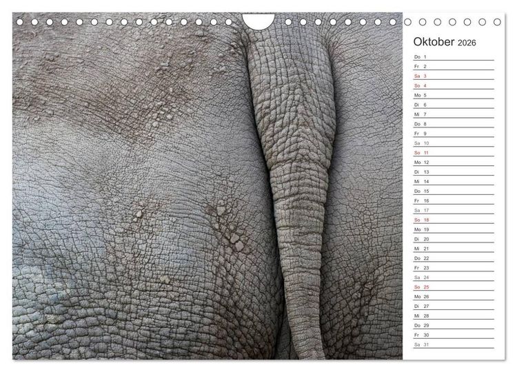 Produktbild: Emotionale Momente: Nash&ouml;rner (Wandkalender 2026 DIN A4 quer), CALVENDO Monatskalender