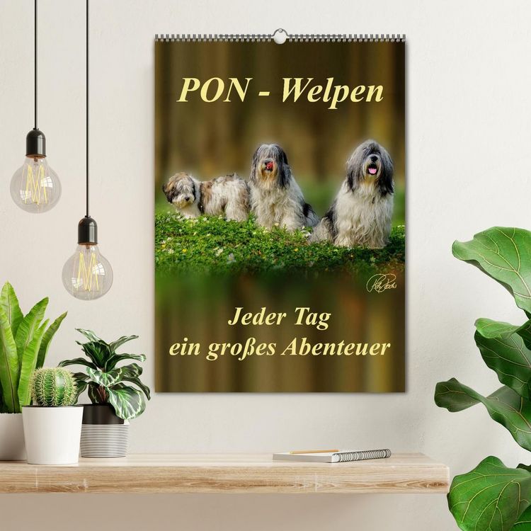 Produktbild: PON-Welpen - jeder Tag ein gro&szlig;es Abenteuer / Planer (Wandkalender 2026 DIN A2 hoch), CALVENDO Monatskalender