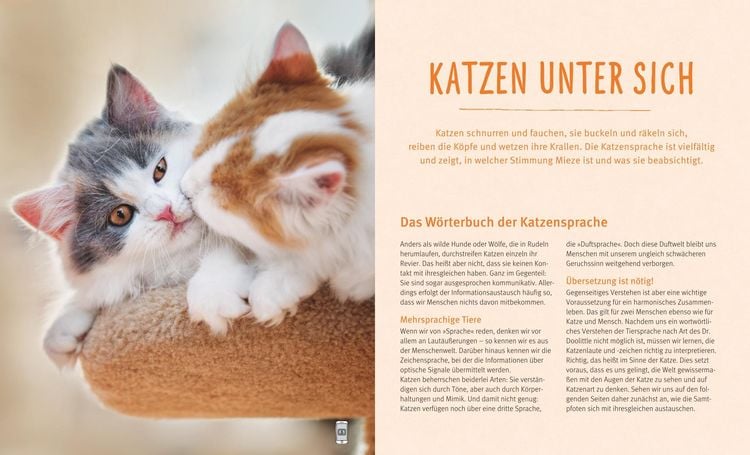 Produktbild: Katzensprache