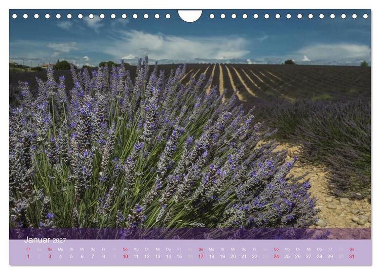 Produktbild: Die Farbe des Lavendels (Wandkalender 2027 DIN A4 quer), CALVENDO Monatskalender