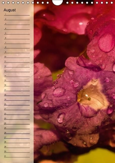 Produktbild: Immerw&auml;hrender Geburtstagskalender - Bl&uuml;tentr&auml;ume (Wandkalender immerw&auml;hrend DIN A4 hoch)