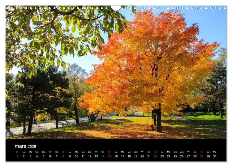 Produktbild: Paysages d'Automne au Qu&eacute;bec (Calendrier mural 2026 DIN A3 vertical), CALVENDO calendrier mensuel