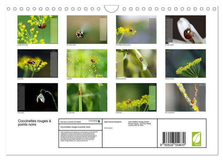Produktbild: Coccinelles rouges &agrave; points noirs (Calendrier mural 2026 DIN A4 vertical), CALVENDO calendrier mensuel