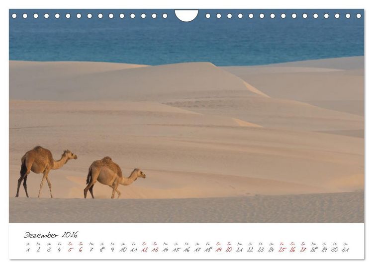 Produktbild: Socotra - Zauberhafte Insel (Wandkalender 2026 DIN A4 quer), CALVENDO Monatskalender