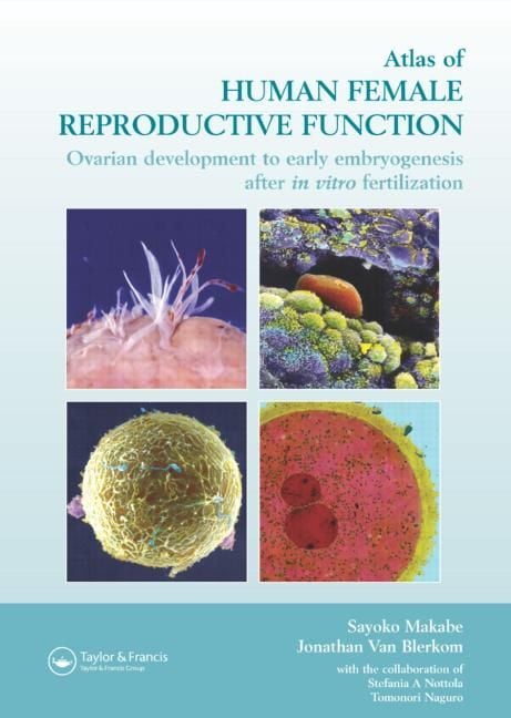 Produktbild: Atlas of Human Female Reproductive Function: Ovarian Development to Early Embryogenesis After in Vitro Fertilization