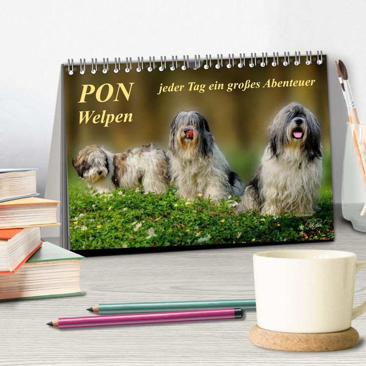 Produktbild: PON - Welpen, jeder Tag ein gro&szlig;es Abenteuer (Tischkalender 2026 DIN A5 quer), CALVENDO Monatskalender