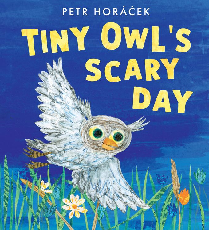 Produktbild: Tiny Owl's Scary Day