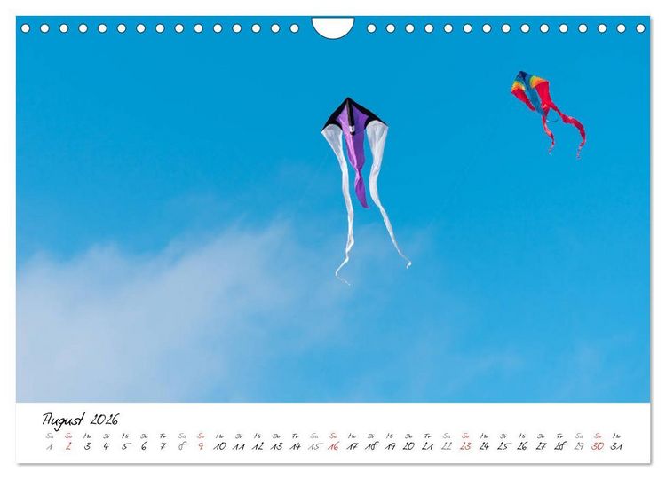 Produktbild: Mein Fischland! Unterwegs auf dem Dar&szlig; (Wandkalender 2026 DIN A4 quer), CALVENDO Monatskalender
