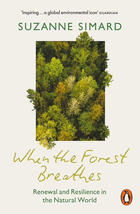 Produktbild: When the Forest Breathes