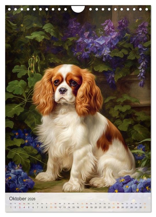 Produktbild: Cavalier King Charles Spaniel (Wandkalender 2026 DIN A4 hoch), CALVENDO Monatskalender