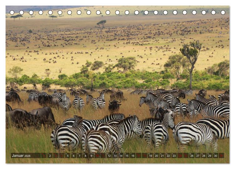 Produktbild: Afrika - Zauber der Wildnis (Tischkalender 2026 DIN A5 quer), CALVENDO Monatskalender