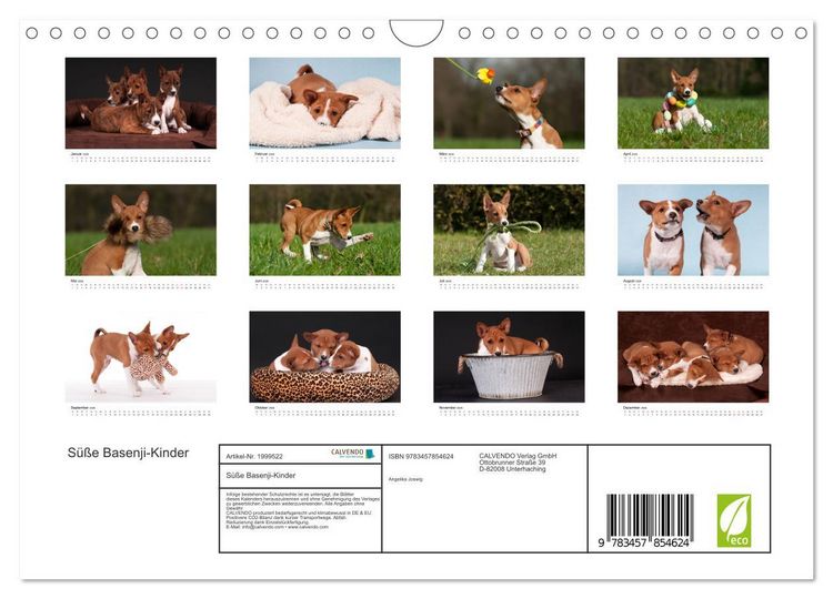 Produktbild: S&uuml;&szlig;e Basenji-Kinder (Wandkalender 2026 DIN A4 quer), CALVENDO Monatskalender