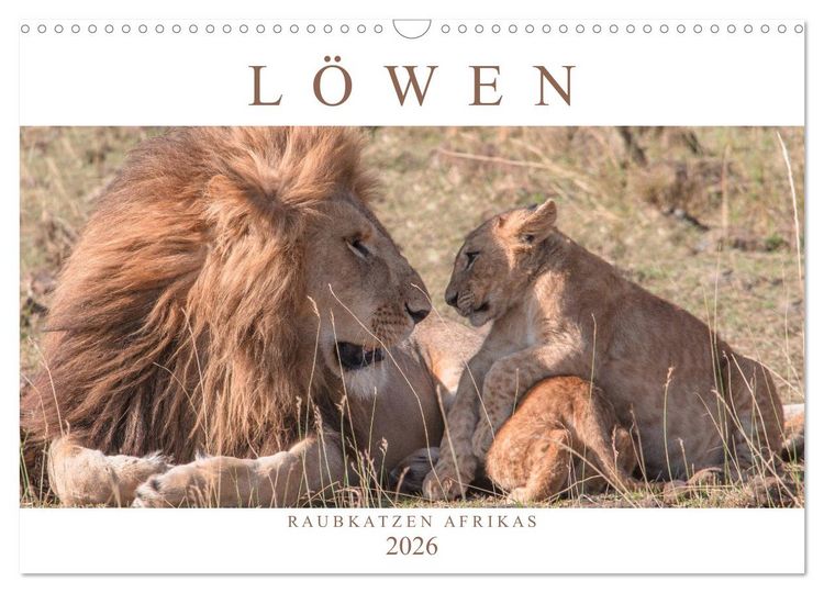 Produktbild: L&ouml;wen - Raubkatzen Afrikas (Wandkalender 2026 DIN A3 quer), CALVENDO Monatskalender