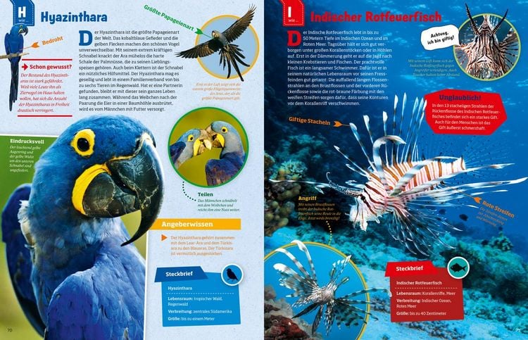 Produktbild: WAS IST WAS Geniale Tiere ... und ihre Tricks