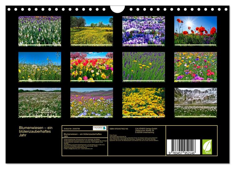 Produktbild: Blumenwiesen &ndash; ein bl&uuml;tenzauberhaftes Jahr (Wandkalender 2026 DIN A4 quer), CALVENDO Monatskalender