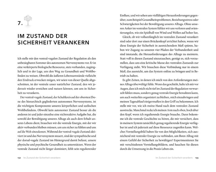 Produktbild: Der Vagus-Nerv als innerer Anker