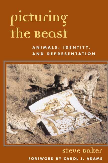 Produktbild: Picturing the Beast