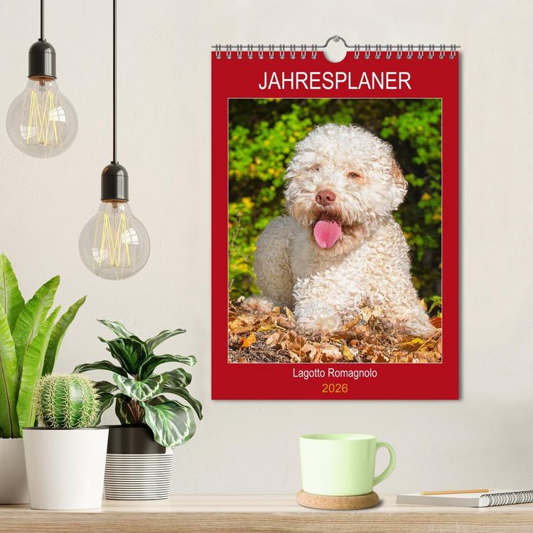 Produktbild: Jahresplaner Lagotto Romagnolo (Wandkalender 2026 DIN A4 hoch), CALVENDO Monatskalender
