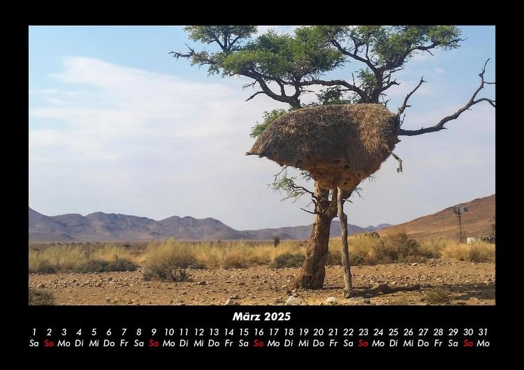 Produktbild: Landschaftskalender 2025 Fotokalender DIN A3