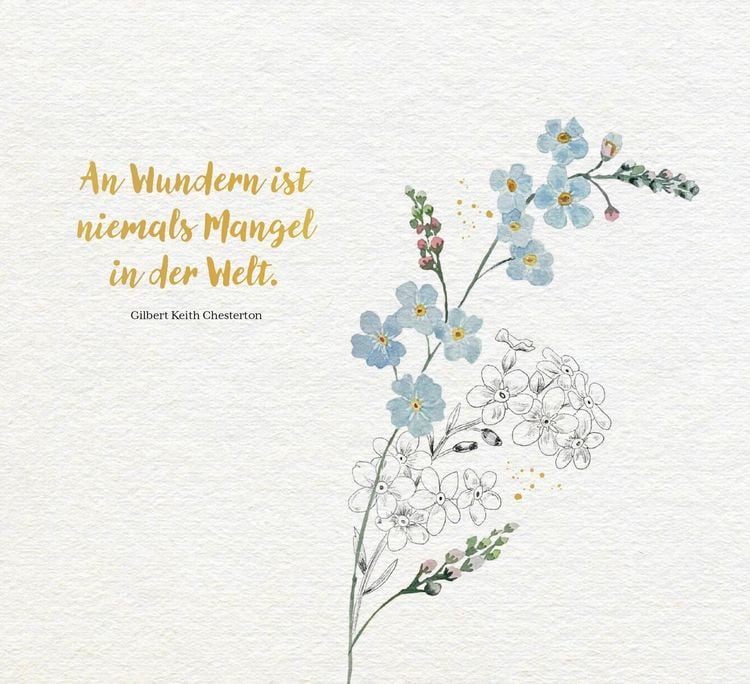Produktbild: Kleine Wunder in meinem Garten