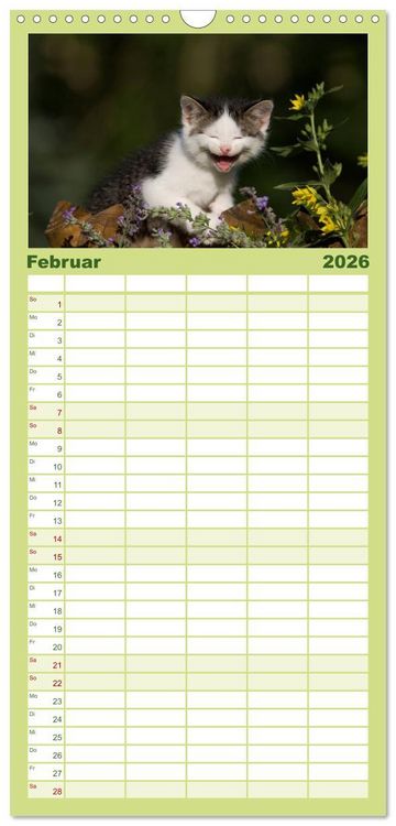 Produktbild: Familienplaner 2026 - L&auml;chelnd durchs Jahr - Katzenkinder -Familienplaner hoch mit 5 Spalten (Wandkalender, 21 x 45 cm) CALVENDO