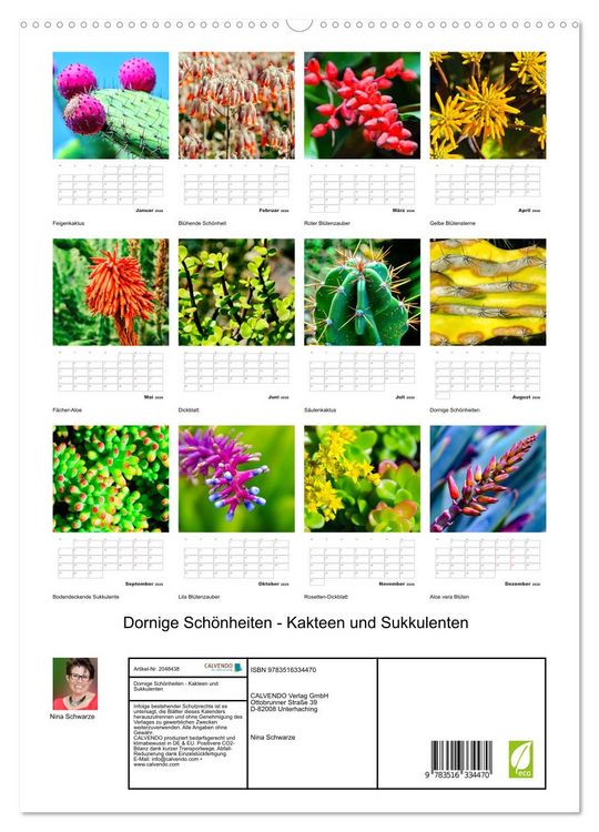 Produktbild: Dornige Sch&ouml;nheiten - Kakteen und Sukkulenten (hochwertiger Premium Wandkalender 2026 DIN A2 hoch), Kunstdruck in Hochglanz