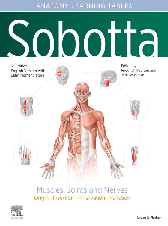 Produktbild: Sobotta Tables of Muscles, Joints and Nerves, English/Latin